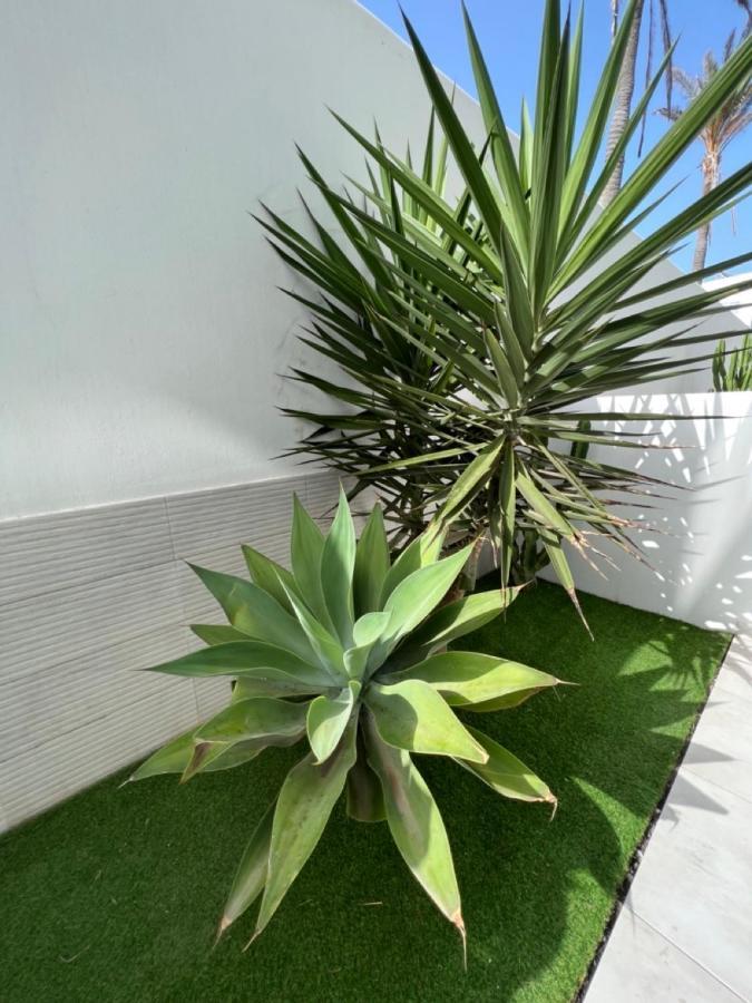 Corralejo Bristol Terrace Apartment Con Giardino Privato Esterno Eksteriør bilde