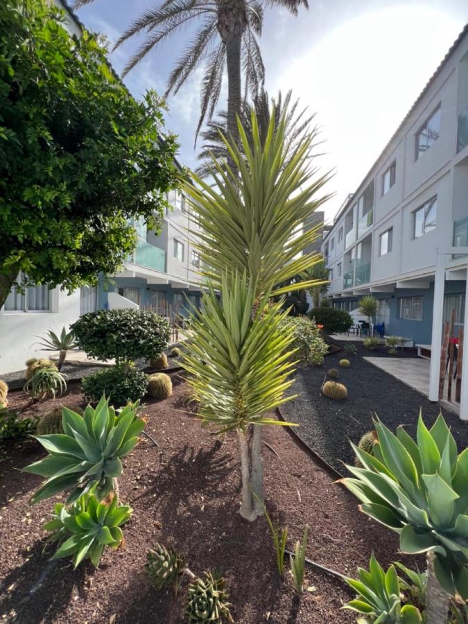 Corralejo Bristol Terrace Apartment Con Giardino Privato Esterno Eksteriør bilde